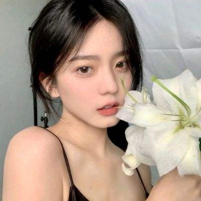 bandao全站体育下载